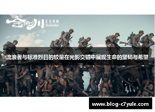 流浪者与标准烈日的较量在光影交错中展现生命的坚韧与希望